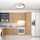 InLight Πλαφονιέρα οροφής LED 24W 3CCT (by tuya) από λευκό ακρυλικό D:40cm (42020-B-White) InLight Πλαφονιέρα οροφής LED 24W 3CCT (by tuya) από λευκό ακρυλικό D:40cm (42020-B-White)